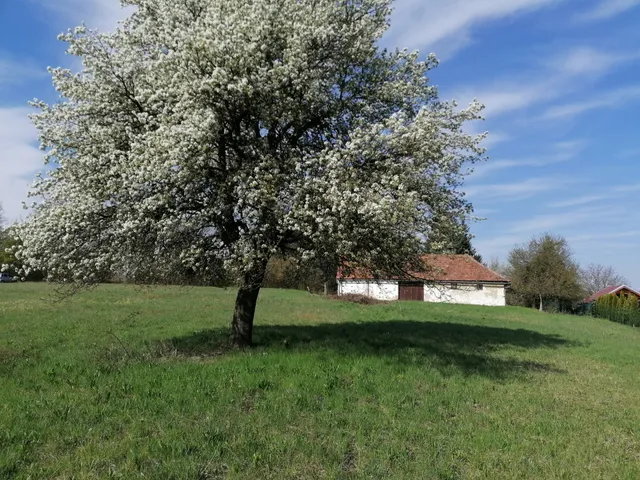 Eladó telek Szentgotthárd, Rábatótfalu 17936 nm