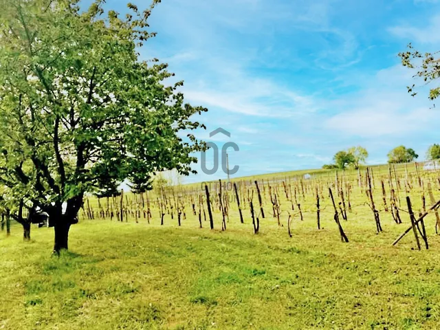 Eladó telek Kőszeg 2430 nm