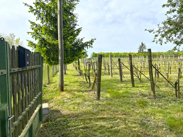 Eladó telek Kőszeg 2430 nm