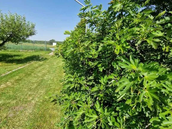 Eladó ház Érd, Ófalu 300 nm