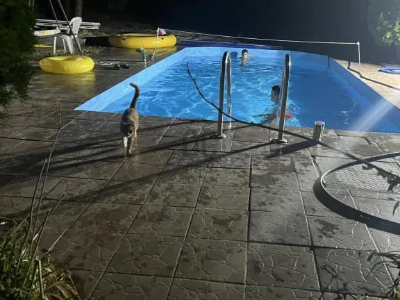 Eladó ház Érd, Fenyves-Parkváros 180 nm
