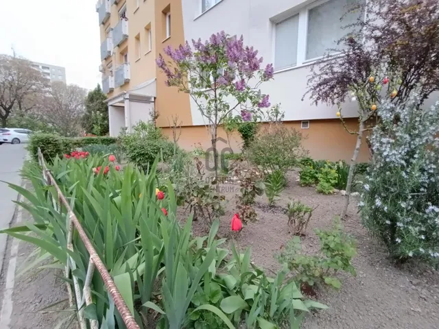 Eladó lakás Budapest III. kerület, Békásmegyer 57 nm