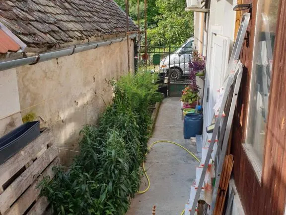 Eladó ház Budapest III. kerület, Békásmegyer-Ófalu 120 nm