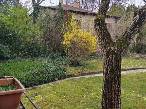 Eladó lakás Budapest XII. kerület, Virányos 67 nm