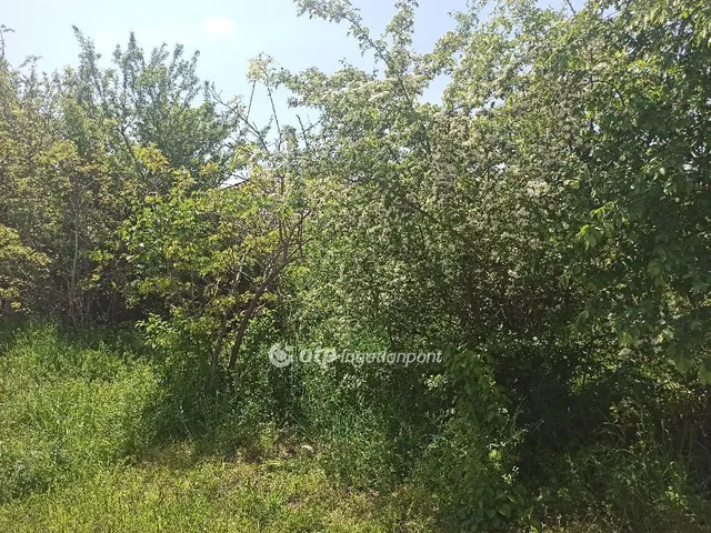 Eladó telek Érd 1149 nm
