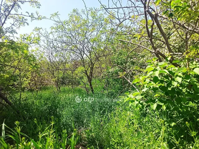 Eladó telek Érd 1149 nm
