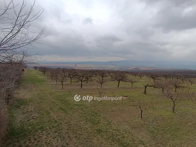Eladó mezőgazdasági ingatlan Tök 50000 nm