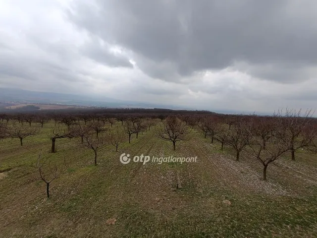 Eladó mezőgazdasági ingatlan Tök 50000 nm