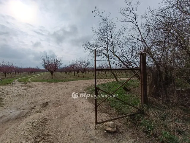 Eladó mezőgazdasági ingatlan Tök 50000 nm
