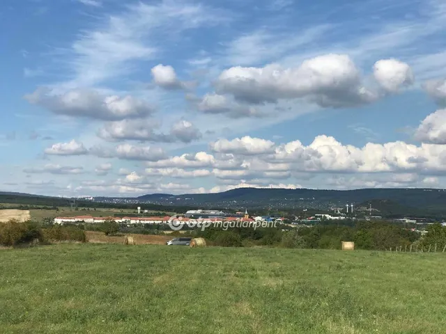 Eladó mezőgazdasági ingatlan Törökbálint 9569 nm