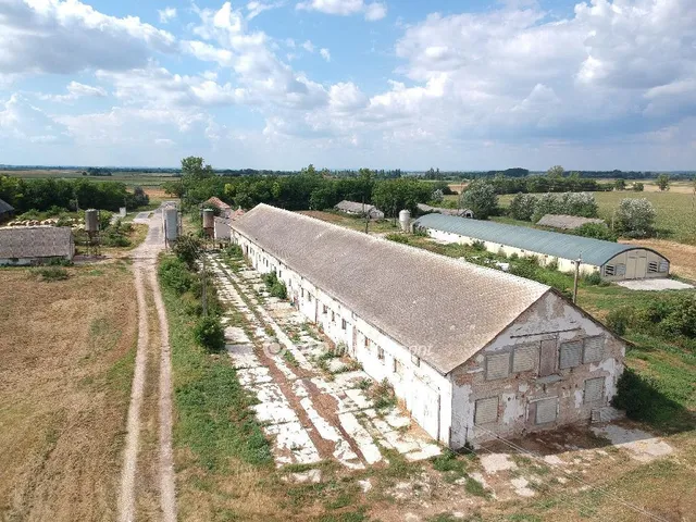 Eladó mezőgazdasági ingatlan Csősz 3913 nm