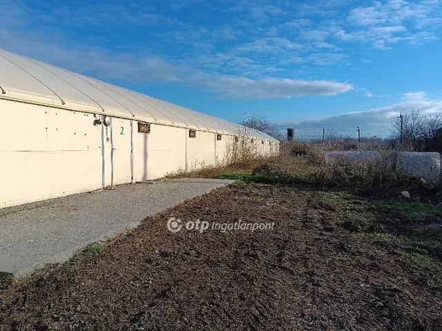 Eladó mezőgazdasági ingatlan Csősz 3913 nm