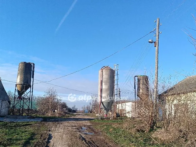 Eladó mezőgazdasági ingatlan Csősz 3913 nm
