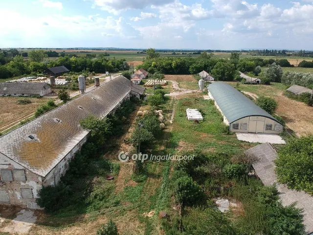 Eladó mezőgazdasági ingatlan Csősz 3913 nm