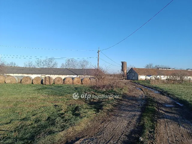 Eladó mezőgazdasági ingatlan Csősz 3913 nm