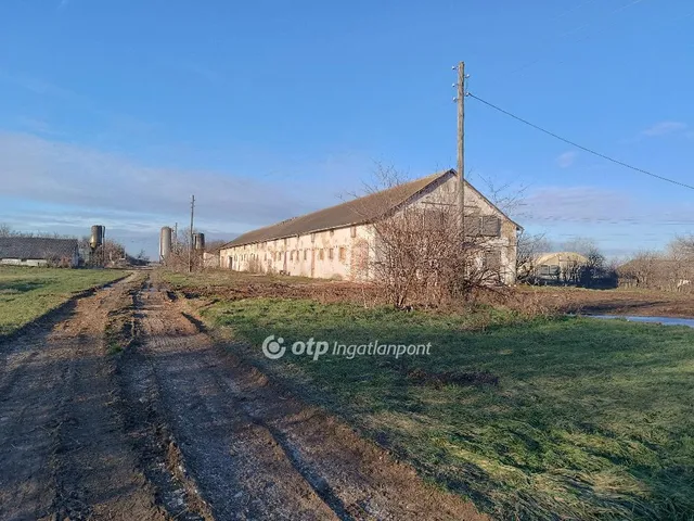 Eladó mezőgazdasági ingatlan Csősz 3913 nm