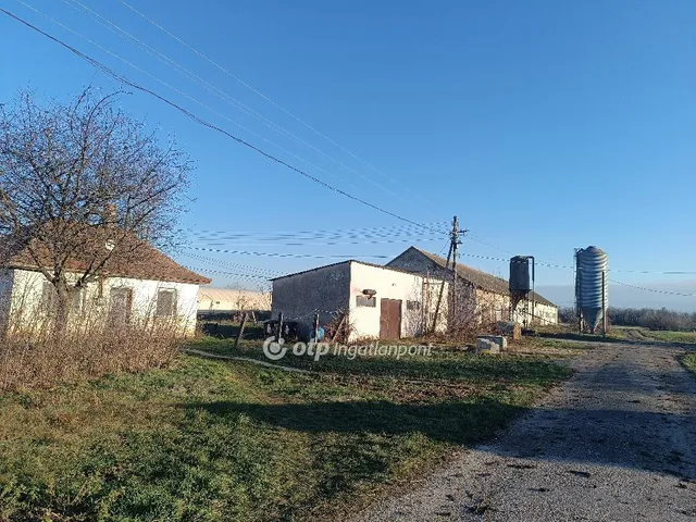 Eladó mezőgazdasági ingatlan Csősz 3913 nm