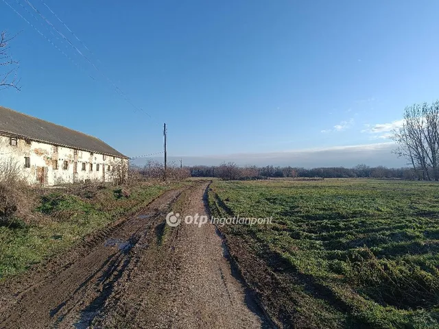 Eladó mezőgazdasági ingatlan Csősz 3913 nm
