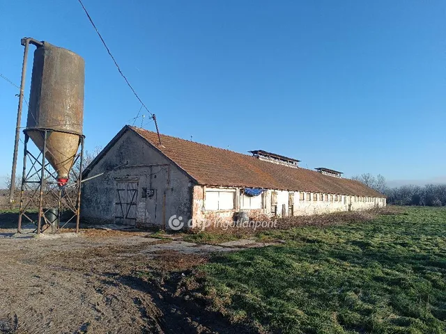 Eladó mezőgazdasági ingatlan Csősz 3913 nm