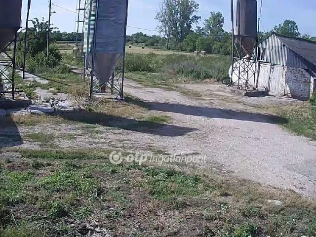 Eladó mezőgazdasági ingatlan Csősz 3913 nm