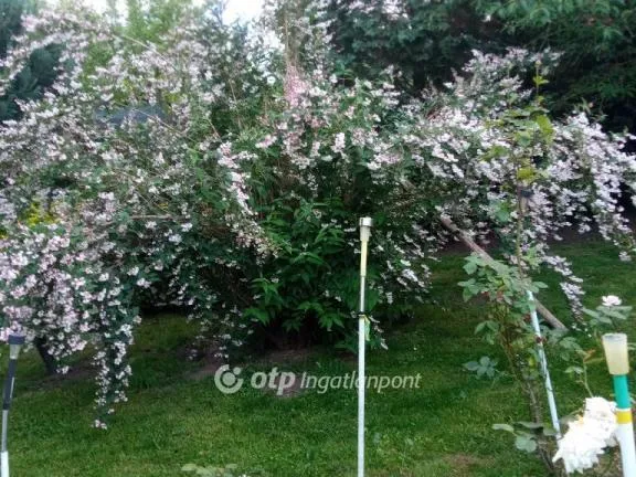 Eladó ház Tatabánya 60 nm
