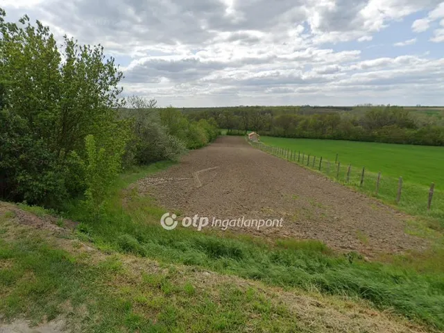 Eladó telek Martonvásár 3329 nm