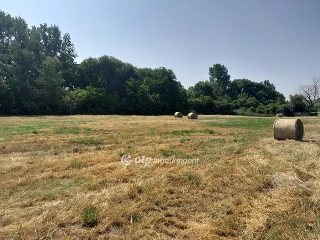 Eladó telek Écs 30568 nm