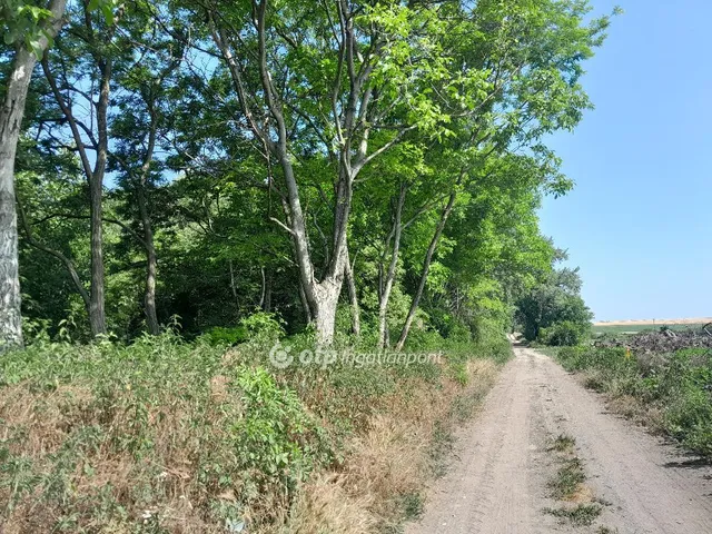 Eladó telek Écs 30568 nm