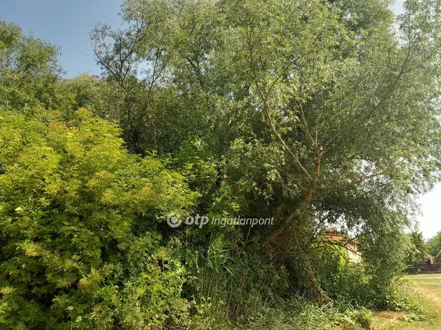 Eladó telek Écs 30568 nm