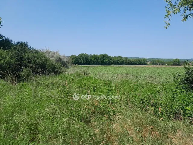 Eladó telek Écs 30568 nm