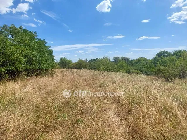 Eladó telek Ercsi, Ipari park 16990 nm