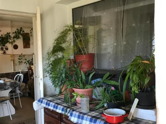 Eladó ház Tárnok 75 nm