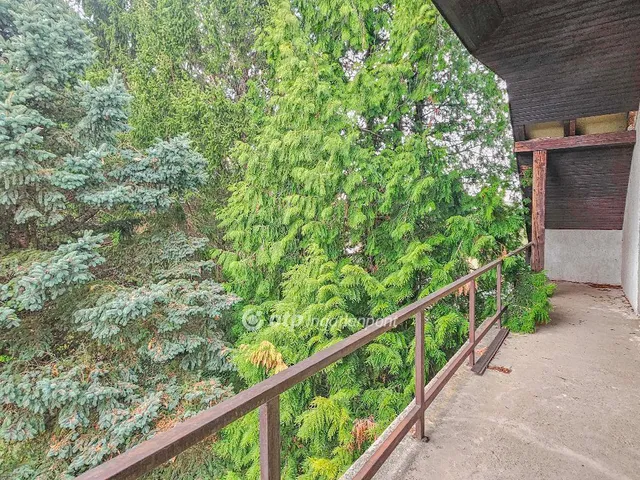 Eladó ház Székesfehérvár, Öreghegy 353 nm