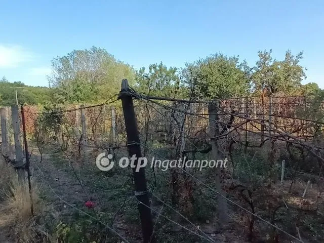 Eladó mezőgazdasági ingatlan Érd 90 nm