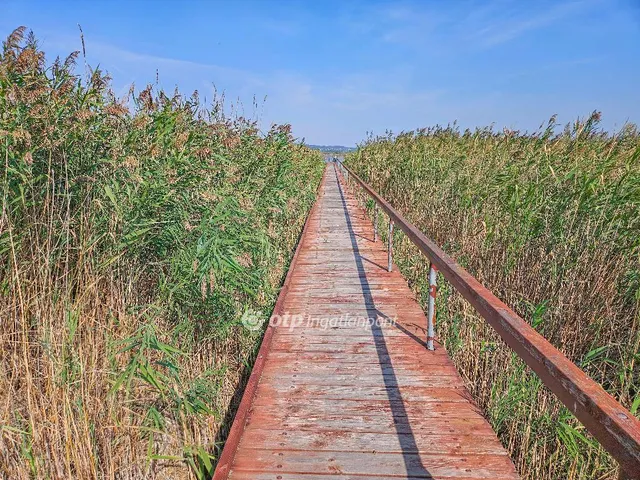 Eladó ház Gárdony 160 nm