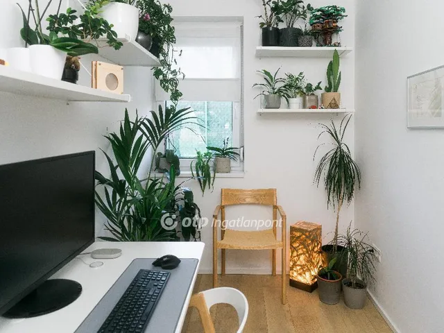 Eladó lakás Érd 64 nm