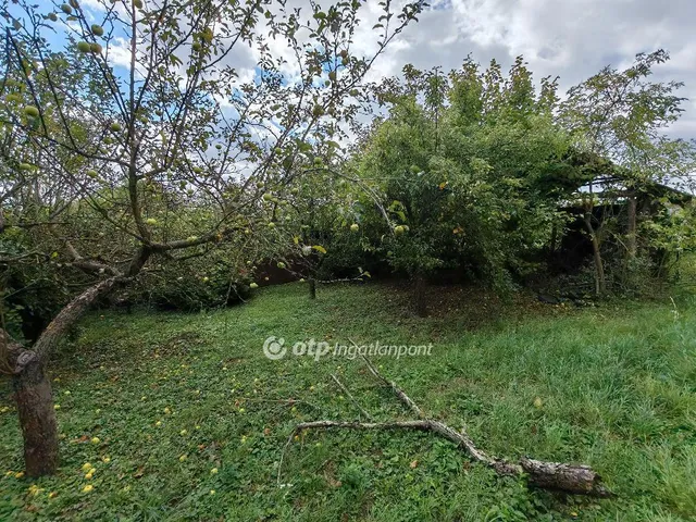 Eladó telek Gyermely 748 nm