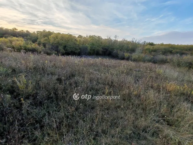 Eladó telek Tinnye 1517 nm