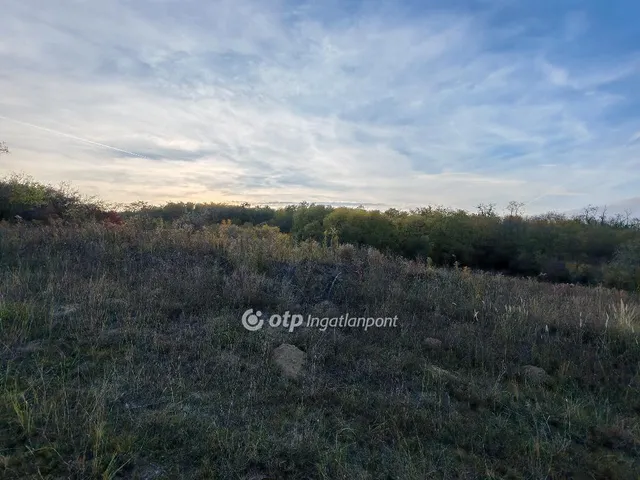 Eladó telek Tinnye 1517 nm