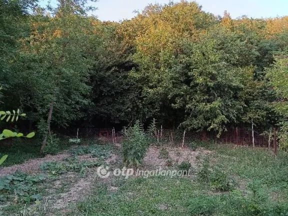 Eladó telek Alcsútdoboz 2187 nm