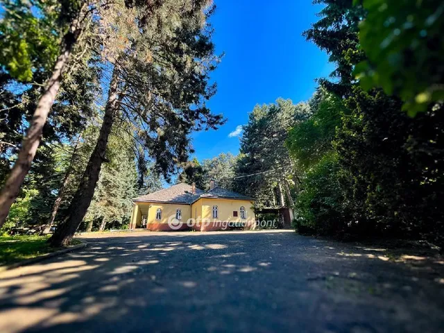 Eladó ház Visonta 1195 nm