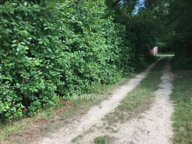 Eladó telek Vértesacsa 1200 nm