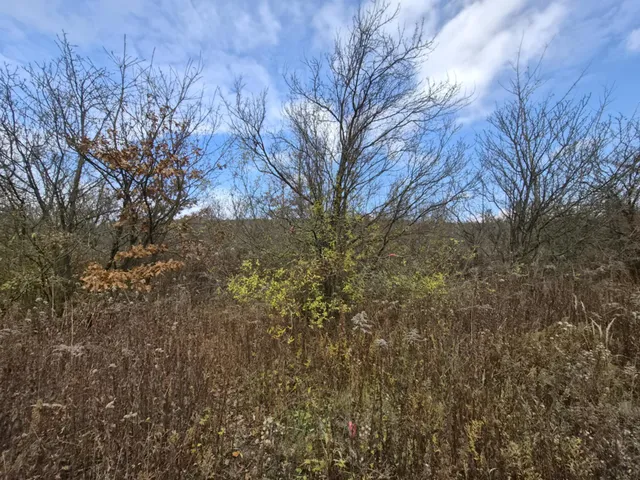 Eladó telek Nagykovácsi 8131 nm