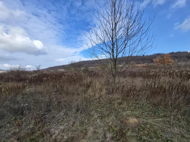 Eladó telek Nagykovácsi 8131 nm