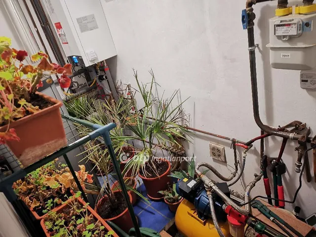 Eladó ház Szigethalom 151 nm