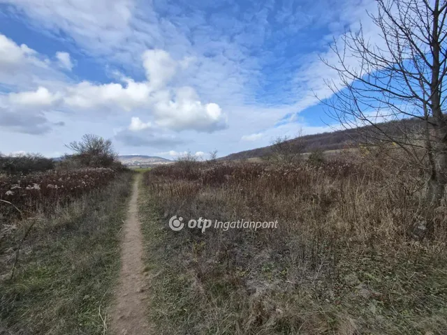 Eladó telek Nagykovácsi 8131 nm