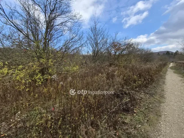 Eladó telek Nagykovácsi 8131 nm