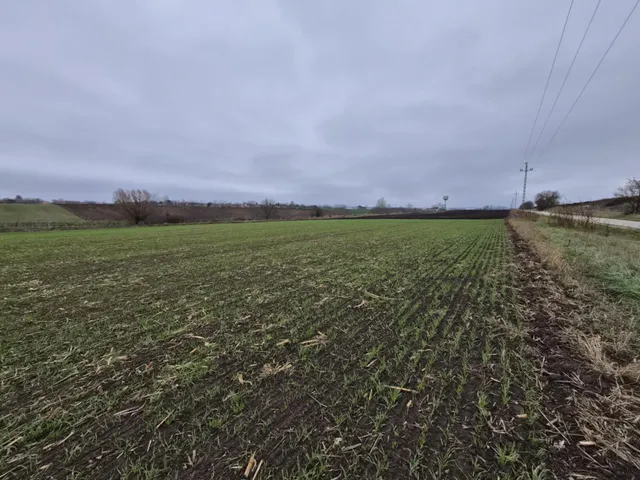 Eladó telek Iváncsa 20969 nm