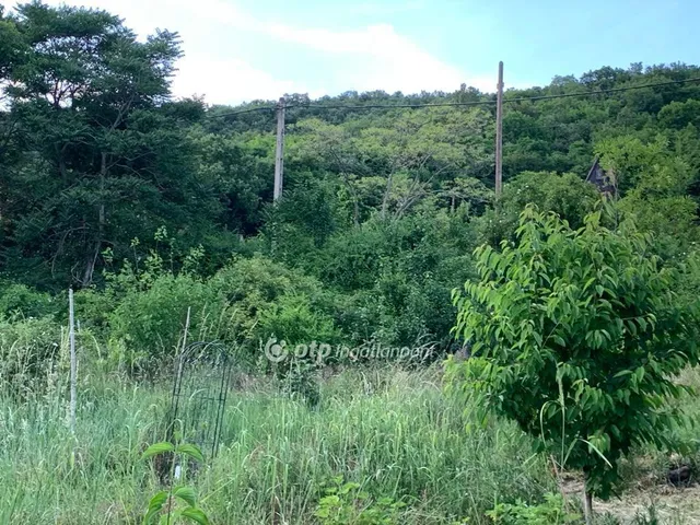 Eladó telek Budaörs 2699 nm