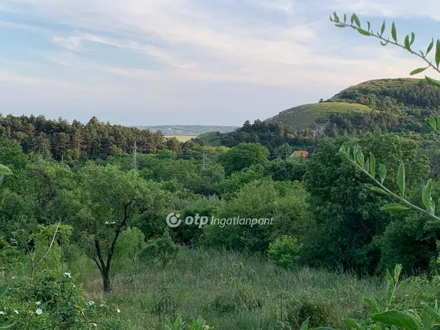 Eladó telek Budaörs, Frankhegy 2699 nm